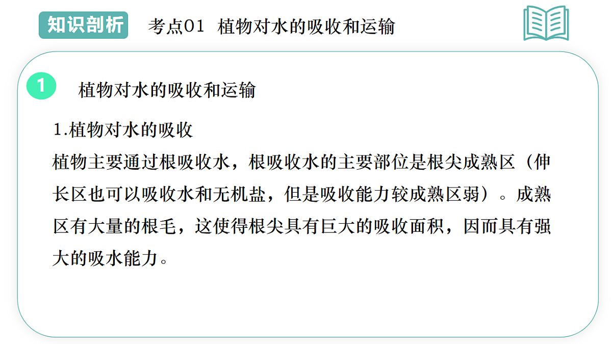17997409第5页