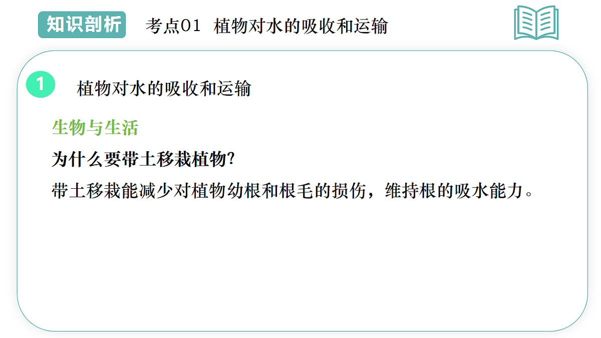 17997409第7页