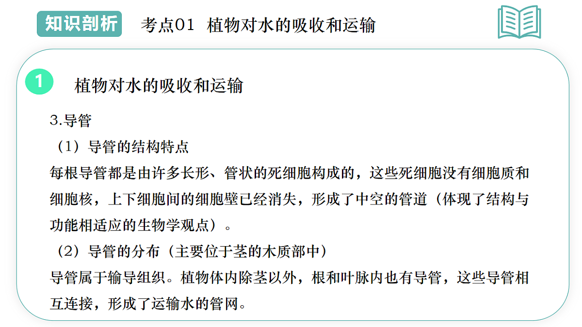 17997409第8页