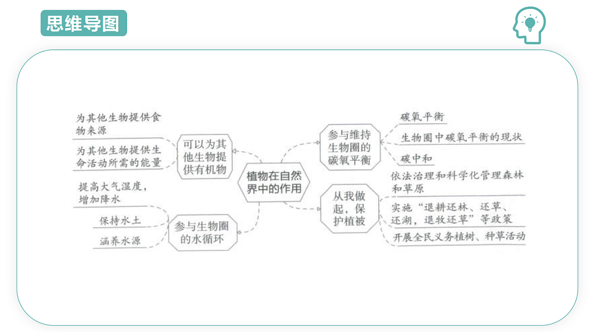 17997410第3页