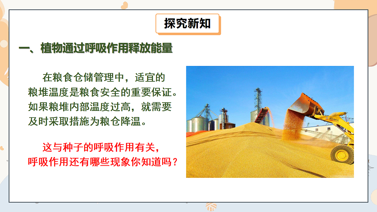 17997557第5页