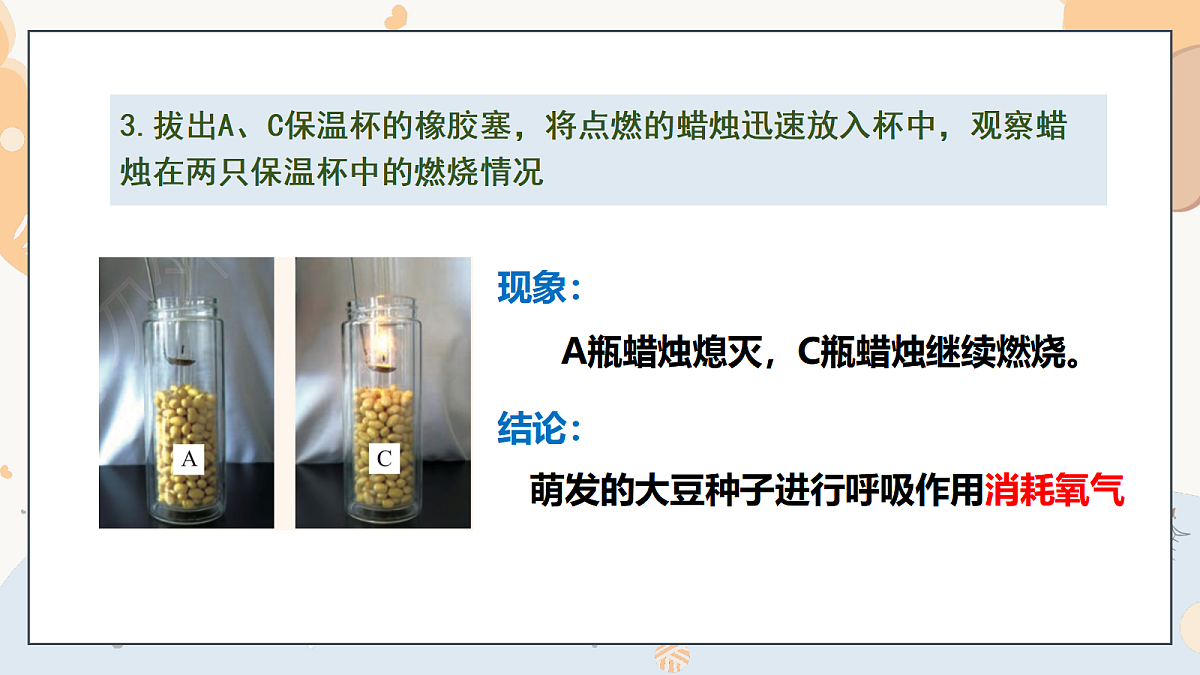 17997557第8页