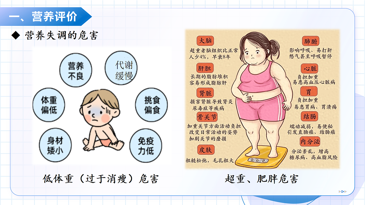 17997558第6页