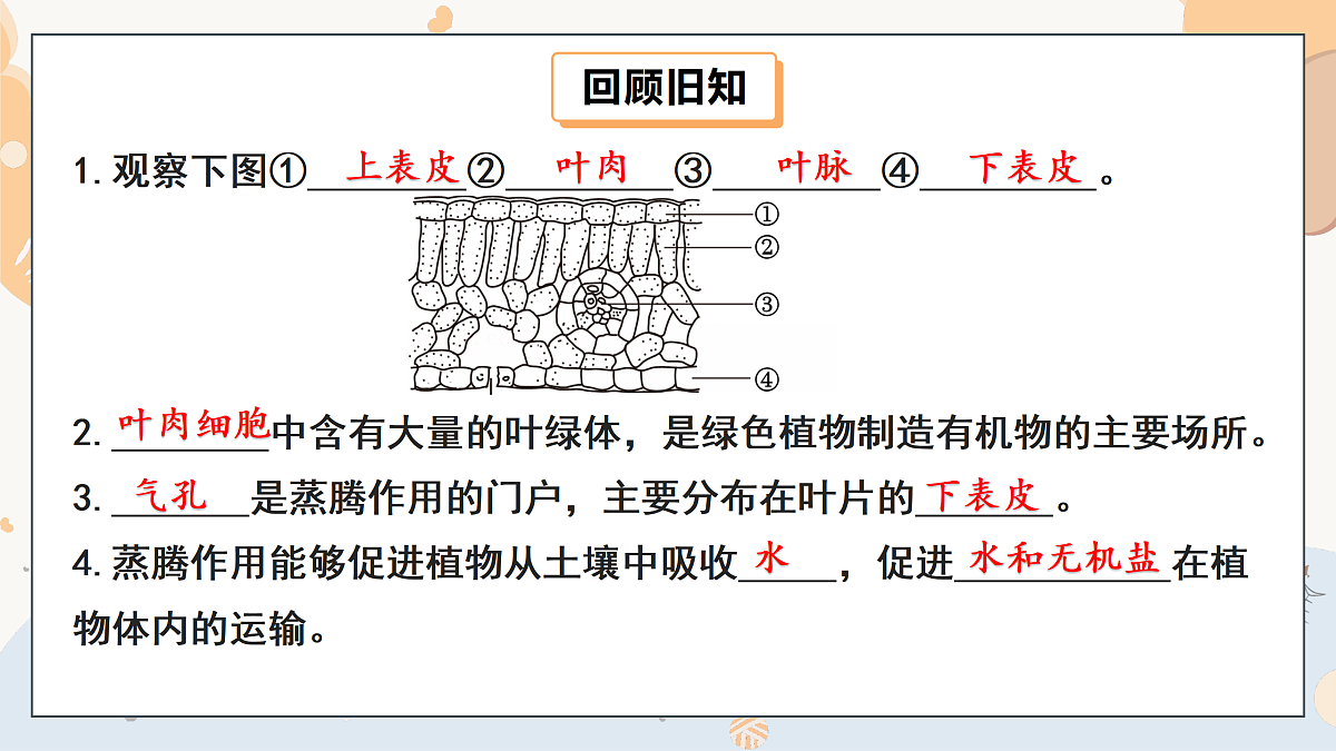 17997565第3页