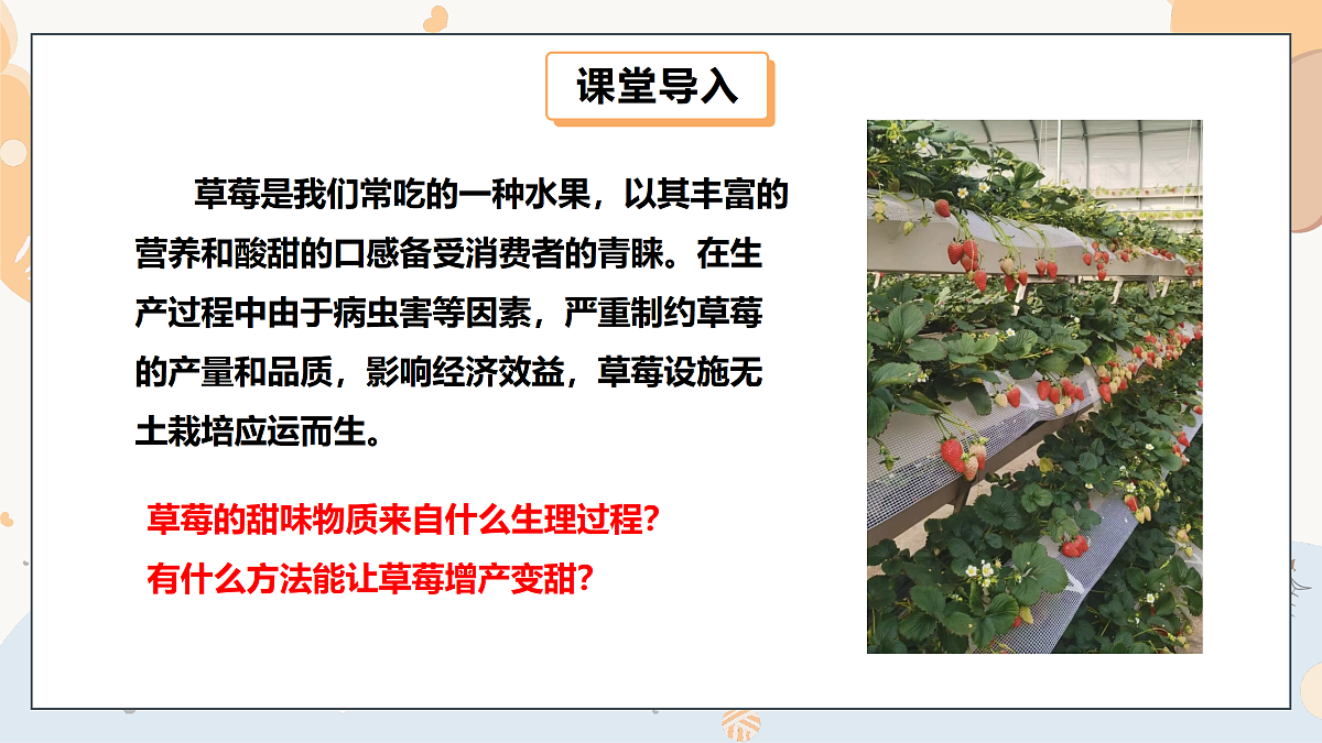 17997565第4页