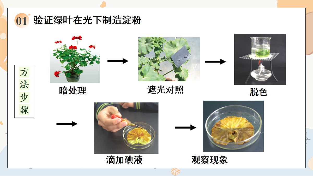 17997565第6页