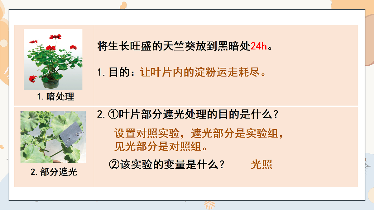 17997565第8页