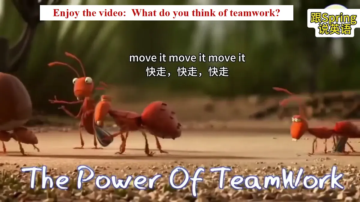 Unit3 What makes a great team Developing ideas Reading for writing课件新外研版八下(含音视频)第3页