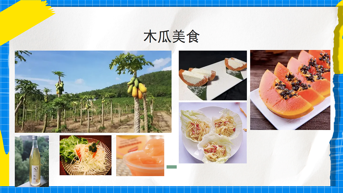 17998558第4页