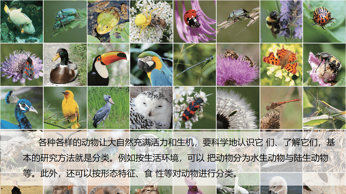 17998922第2页