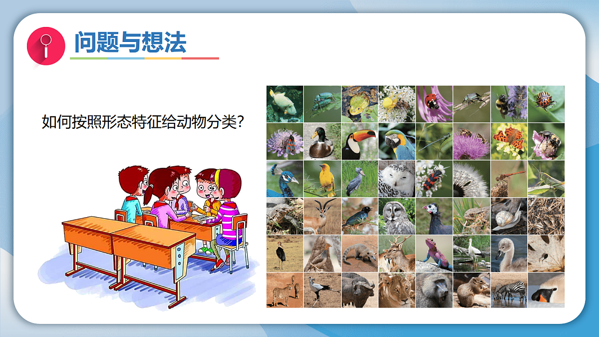 17998922第3页