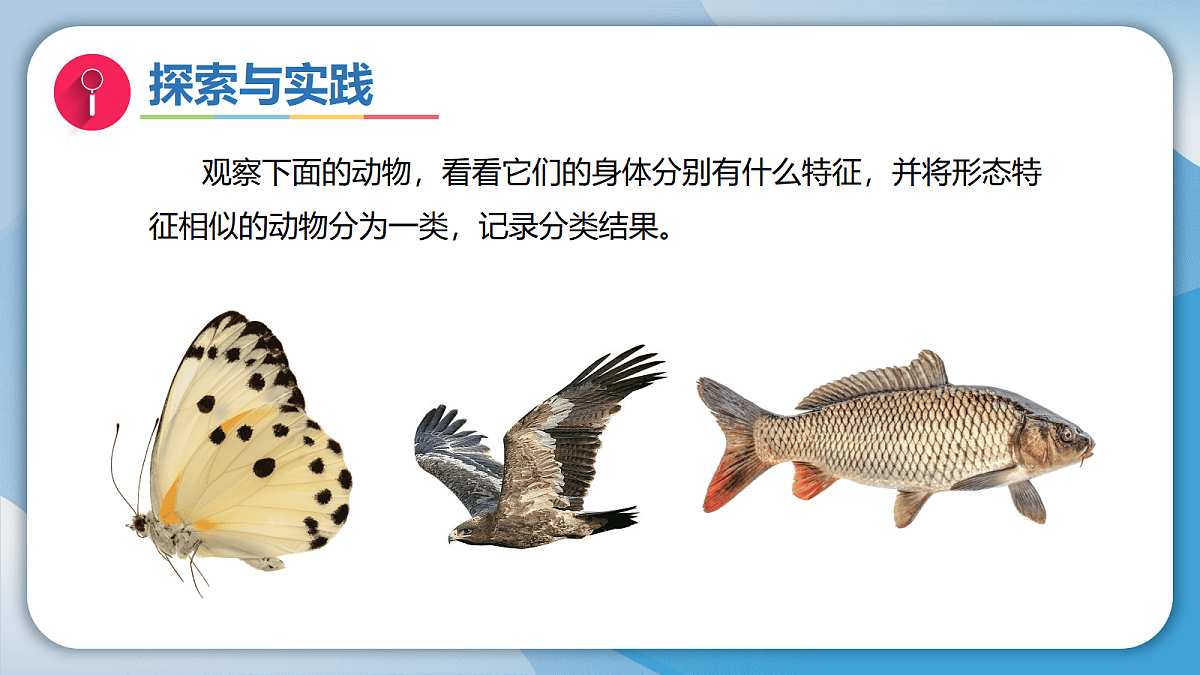 17998922第4页
