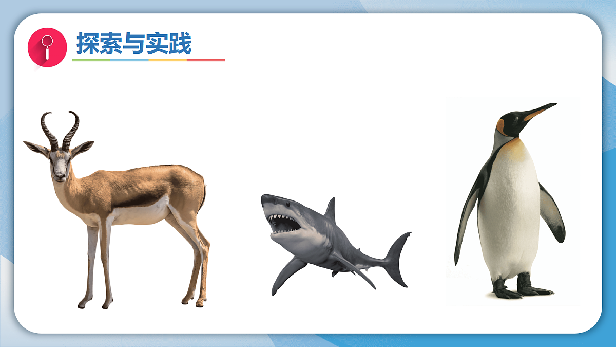 17998922第6页