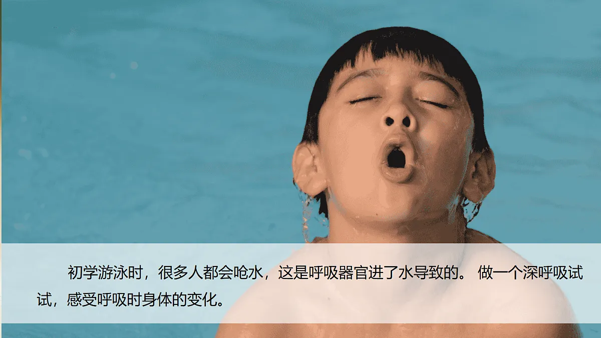 17998930第2页