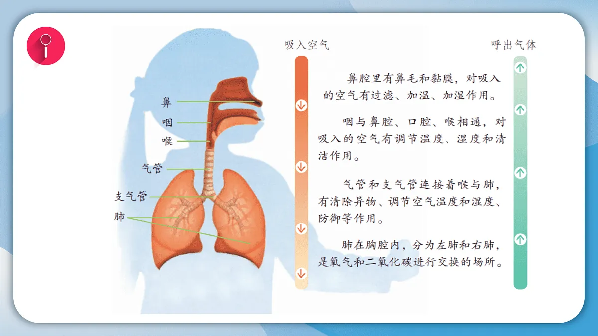 17998930第5页
