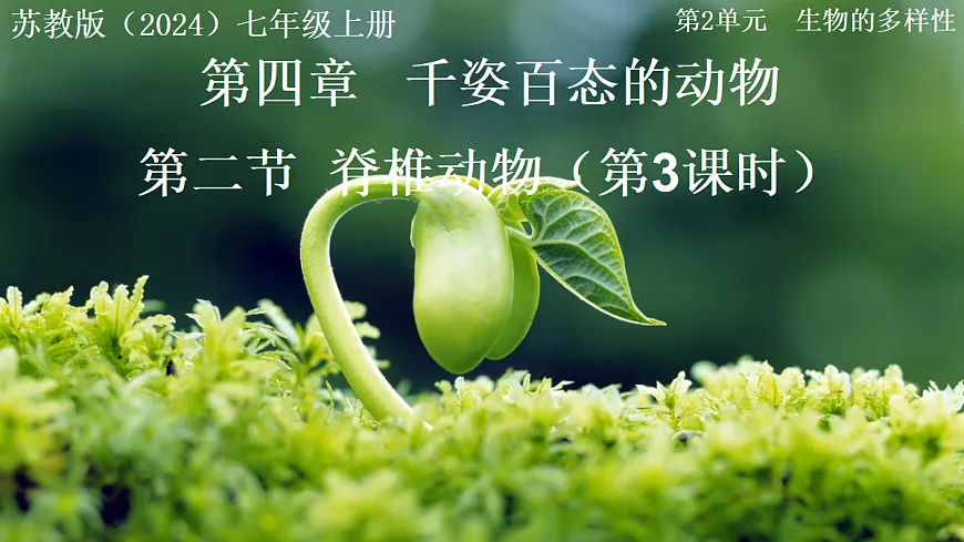 17999230第1页