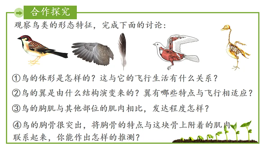 17999230第4页