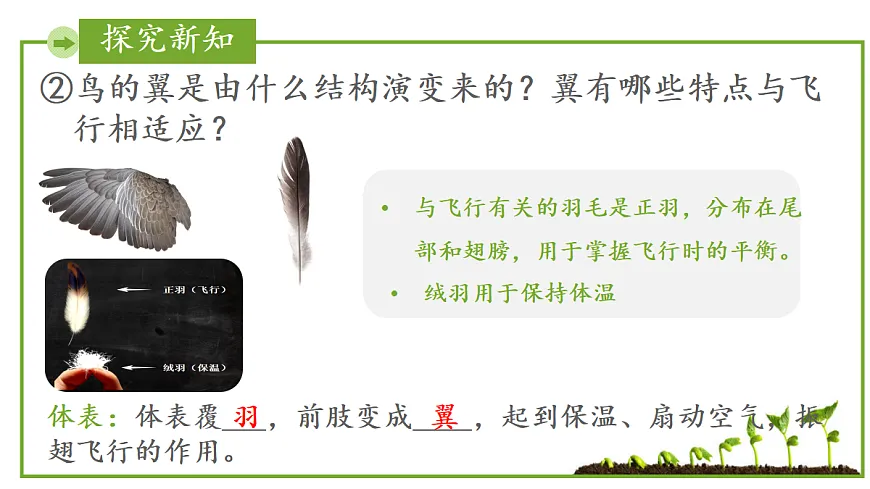 17999230第6页