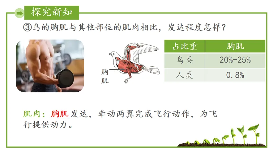 17999230第7页