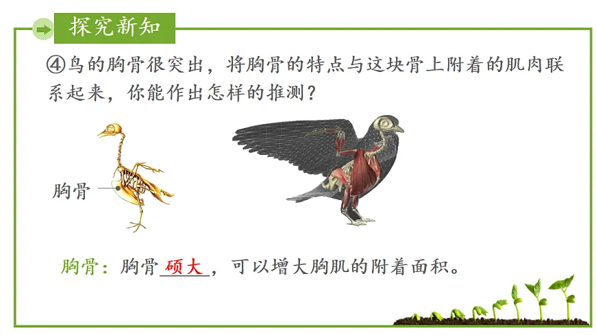 17999230第8页