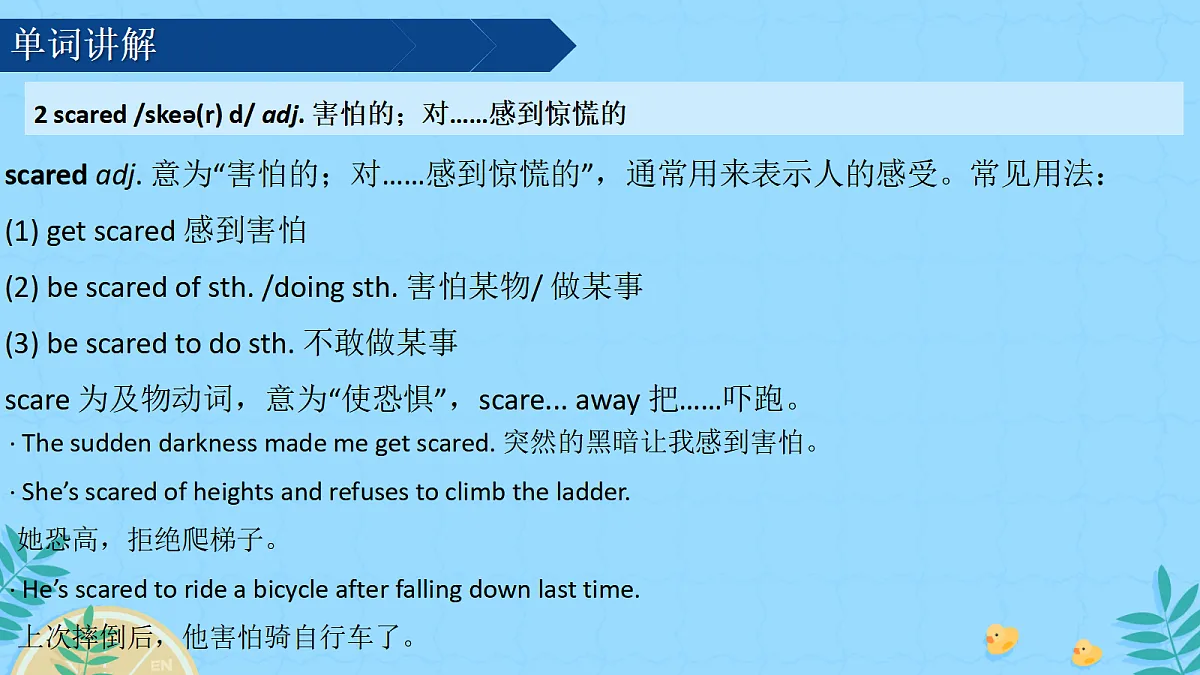 17999527第5页