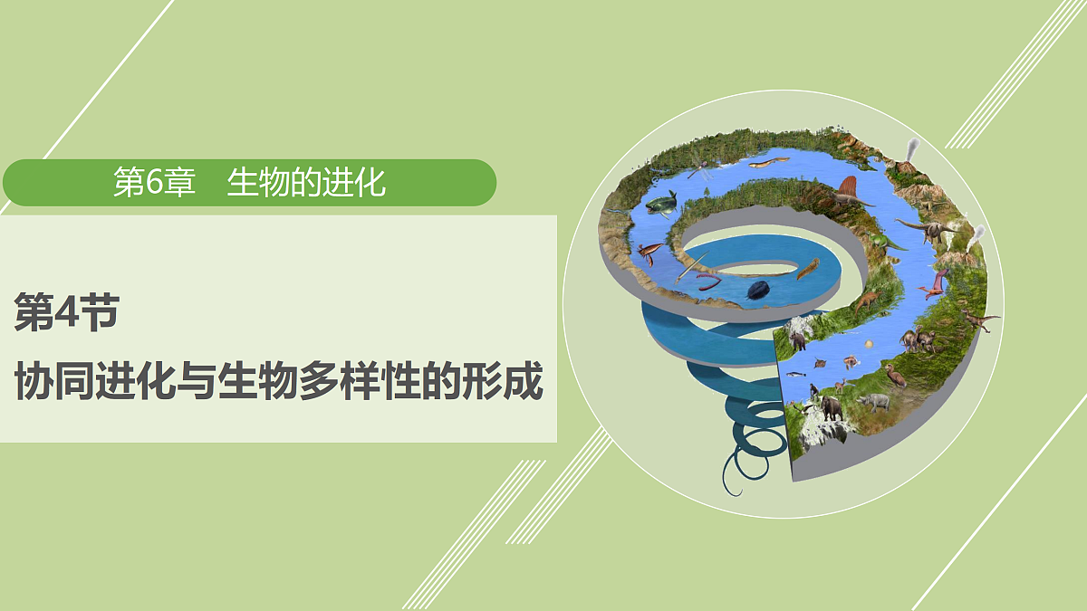 18000241第1页