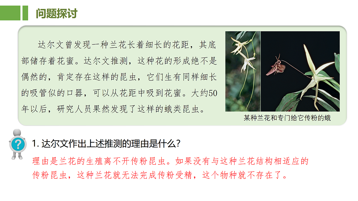 18000241第3页