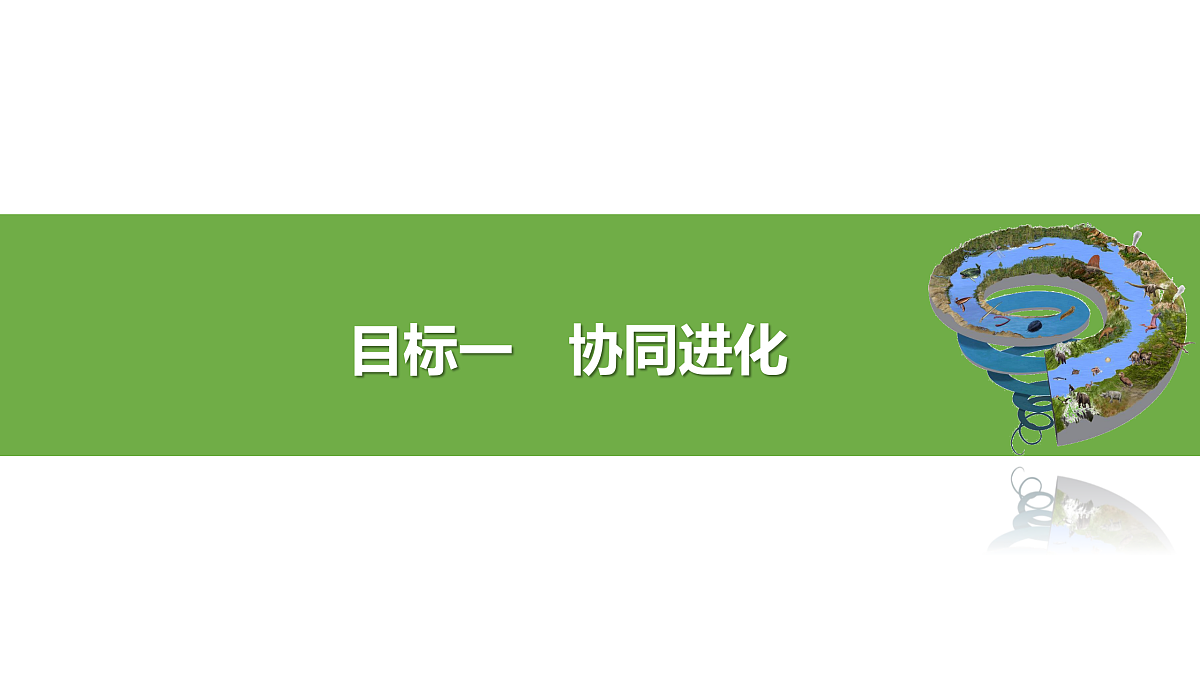 18000241第5页