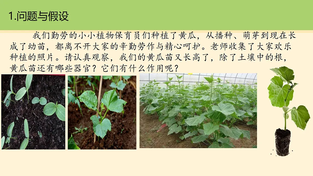 18000441第2页