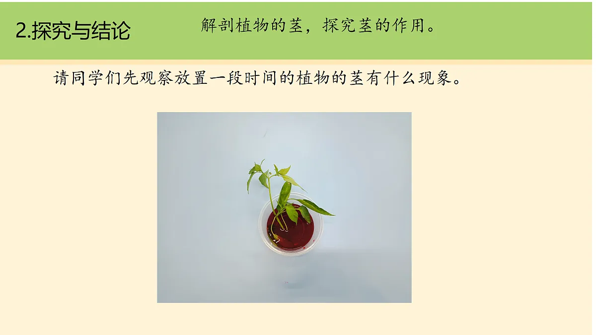18000441第5页