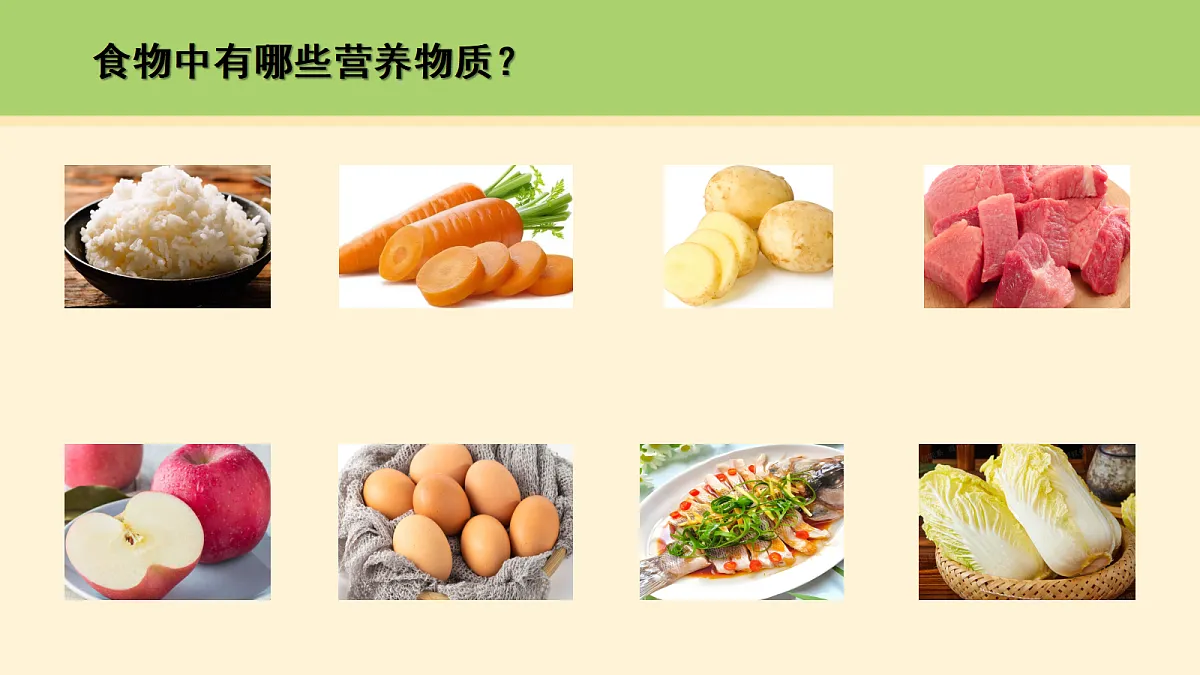 18000447第4页
