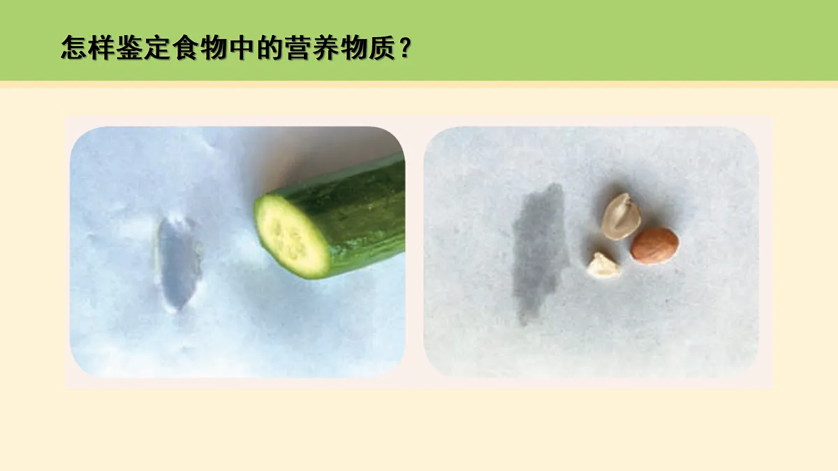 18000447第6页