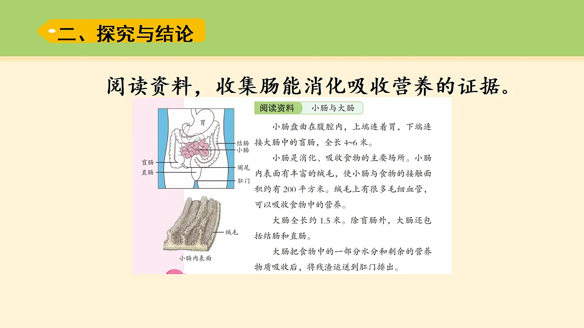 18000455第3页