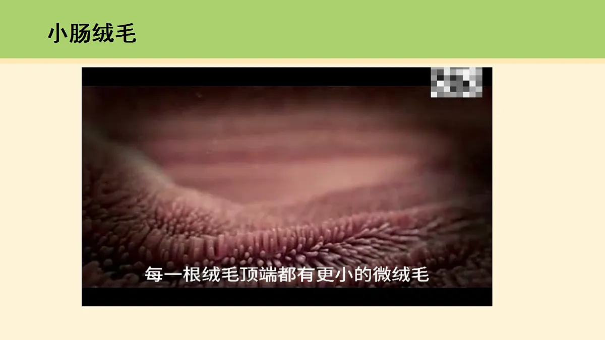 18000455第4页