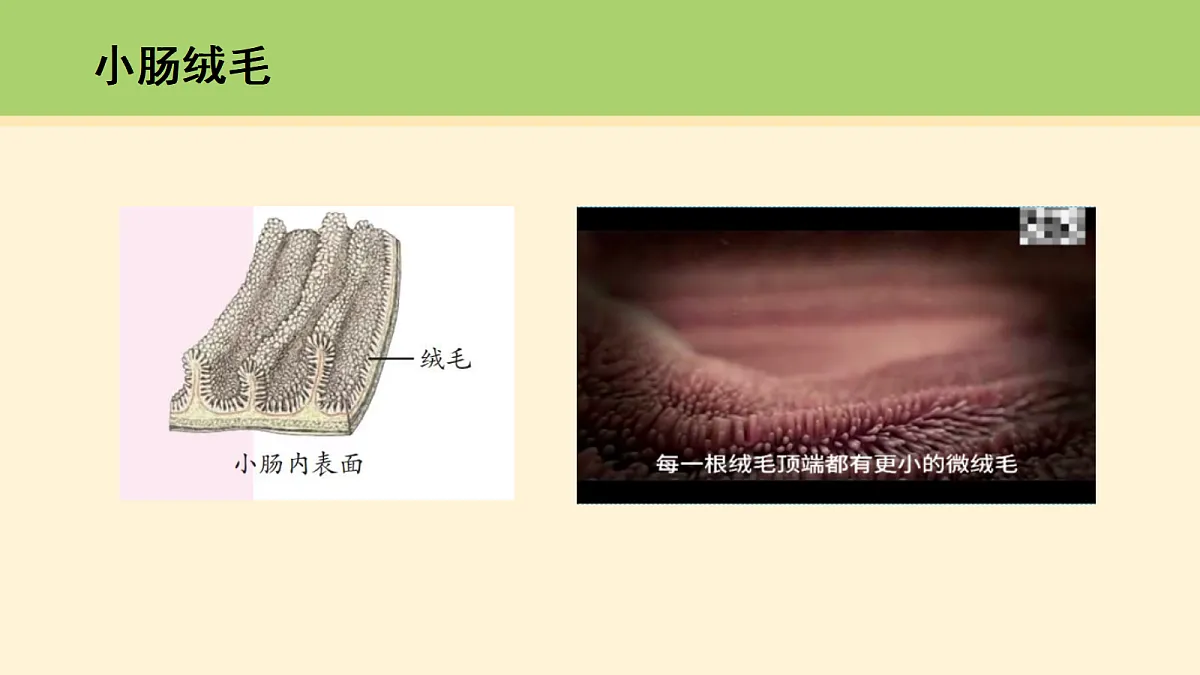 18000455第5页