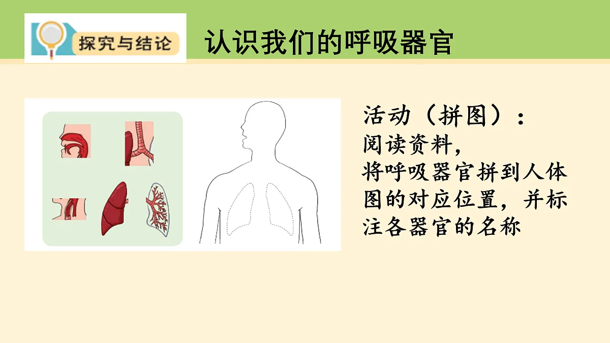 18000459第3页