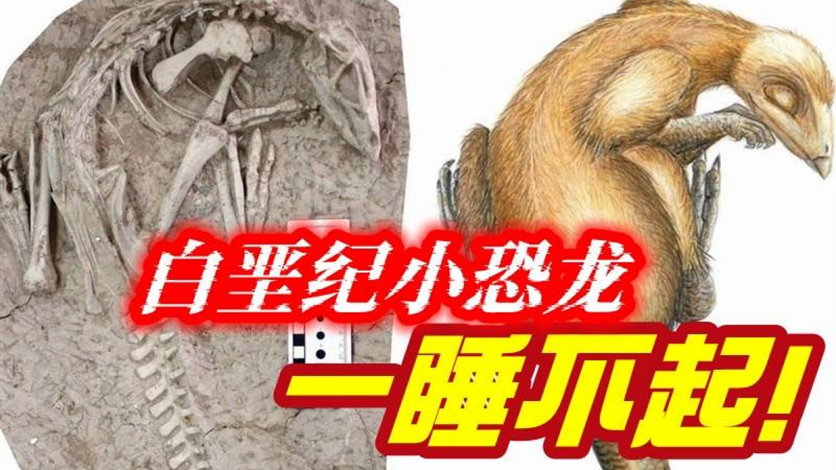 18001575第2页