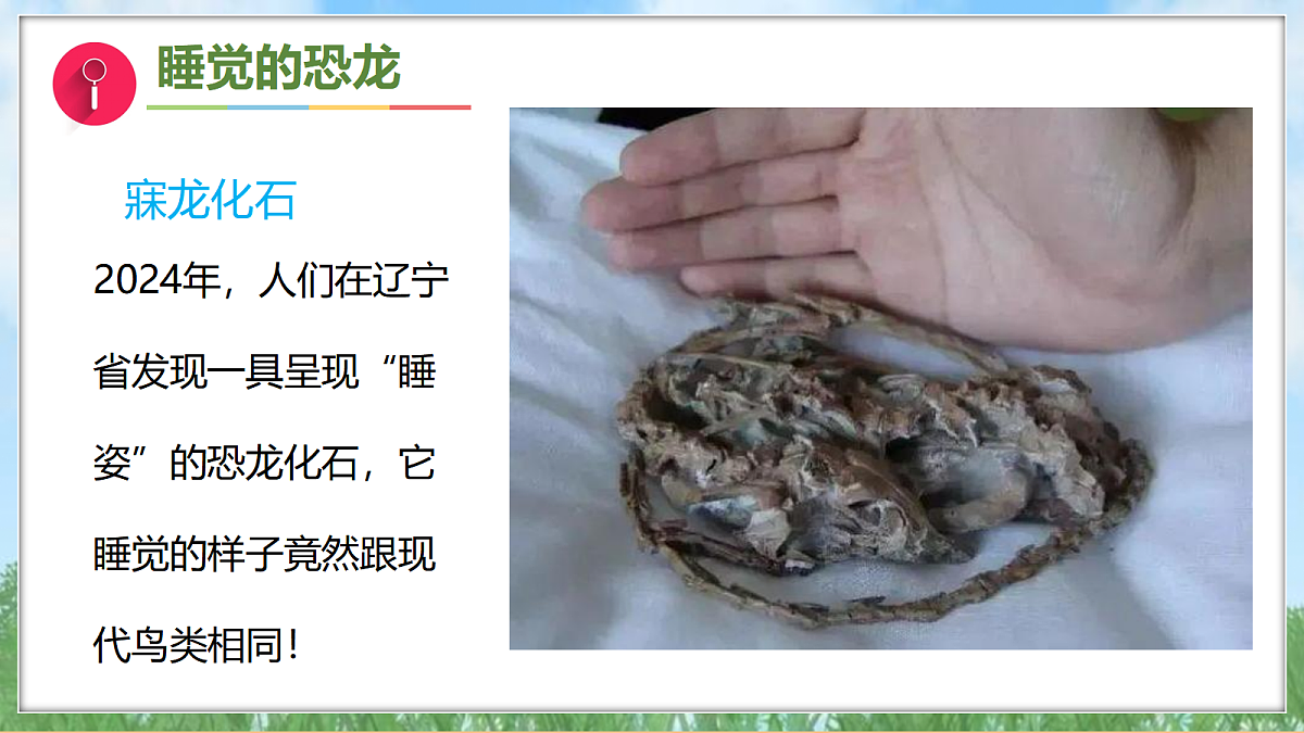 18001575第3页