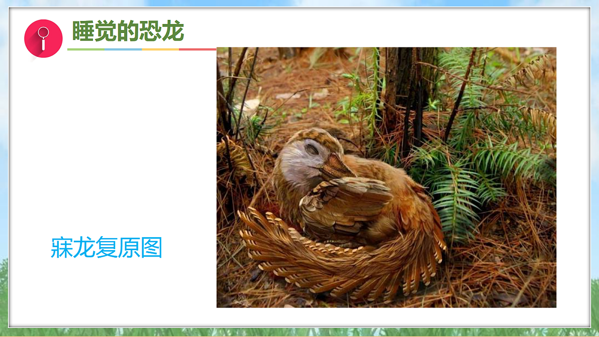 18001575第7页