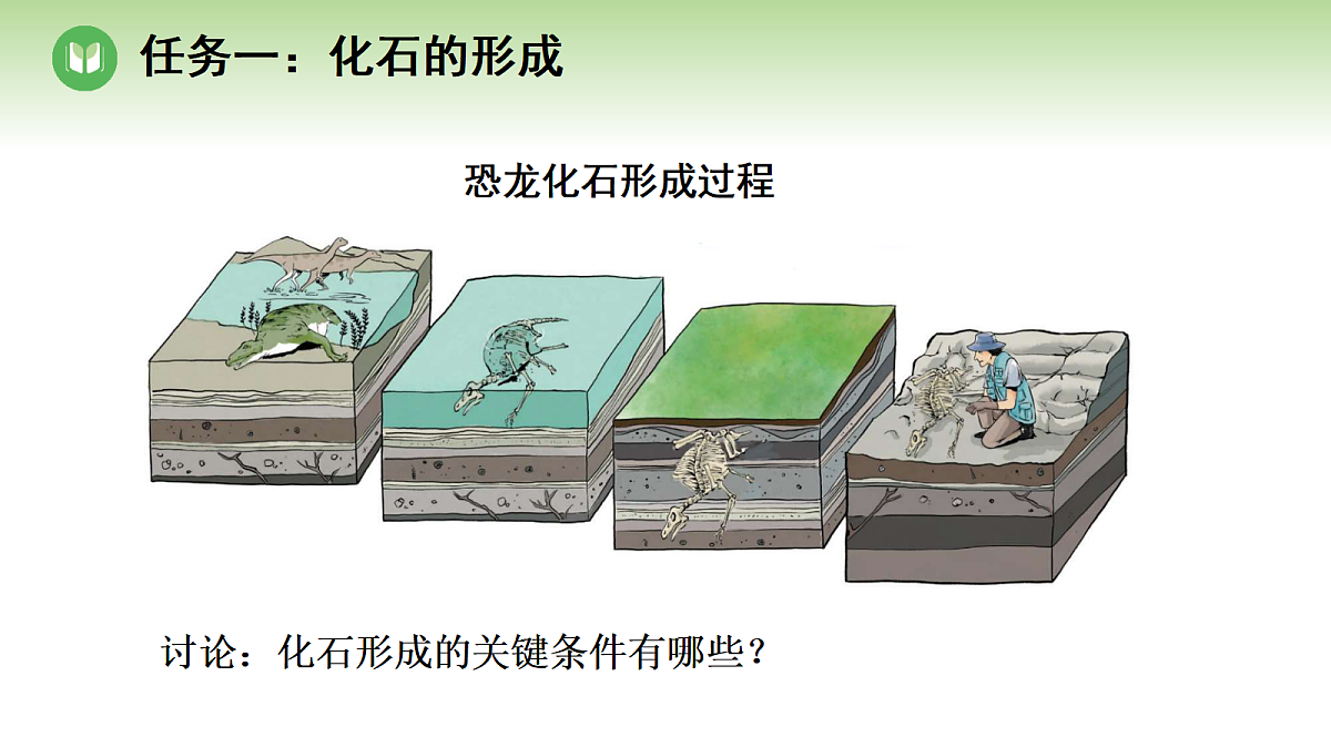 18004172第3页