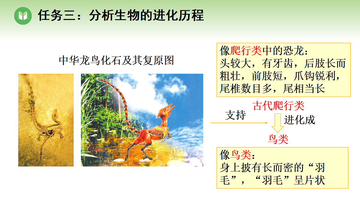 18004172第6页