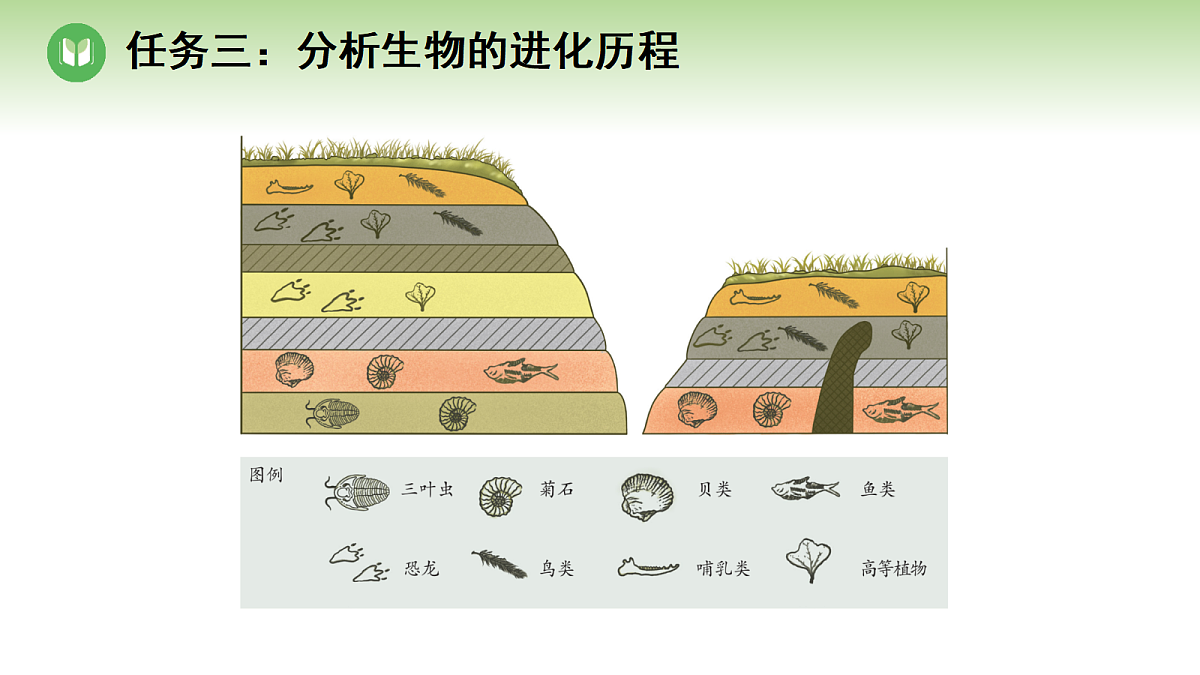 18004172第8页