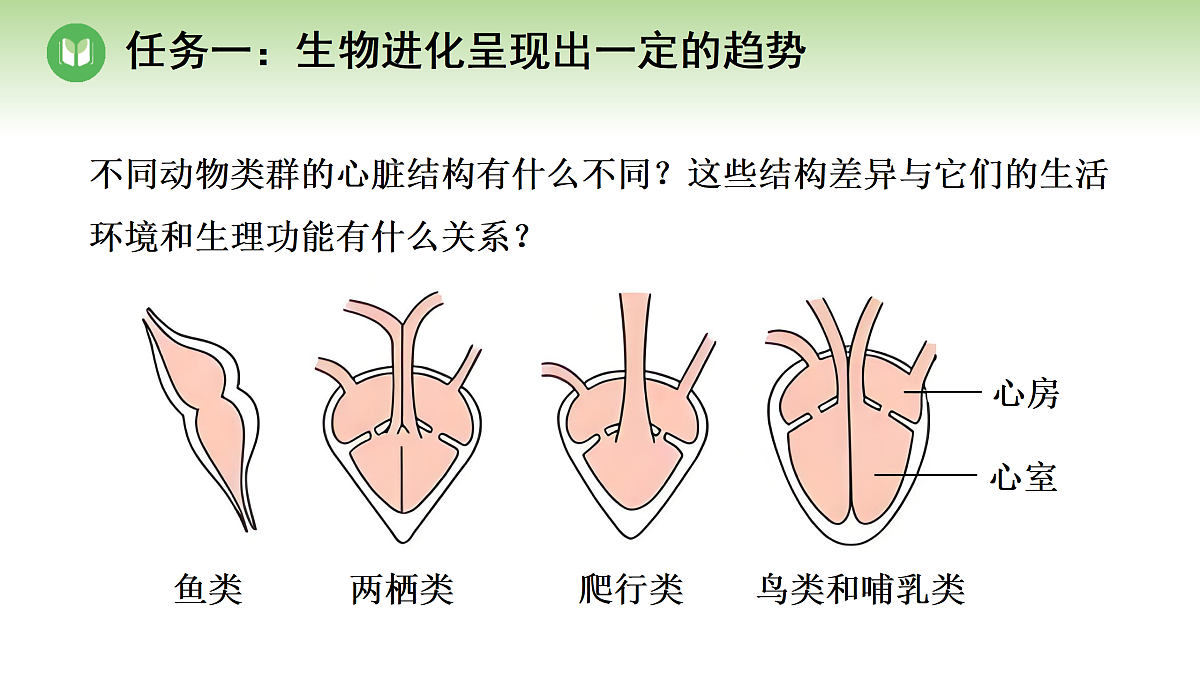 18004173第8页
