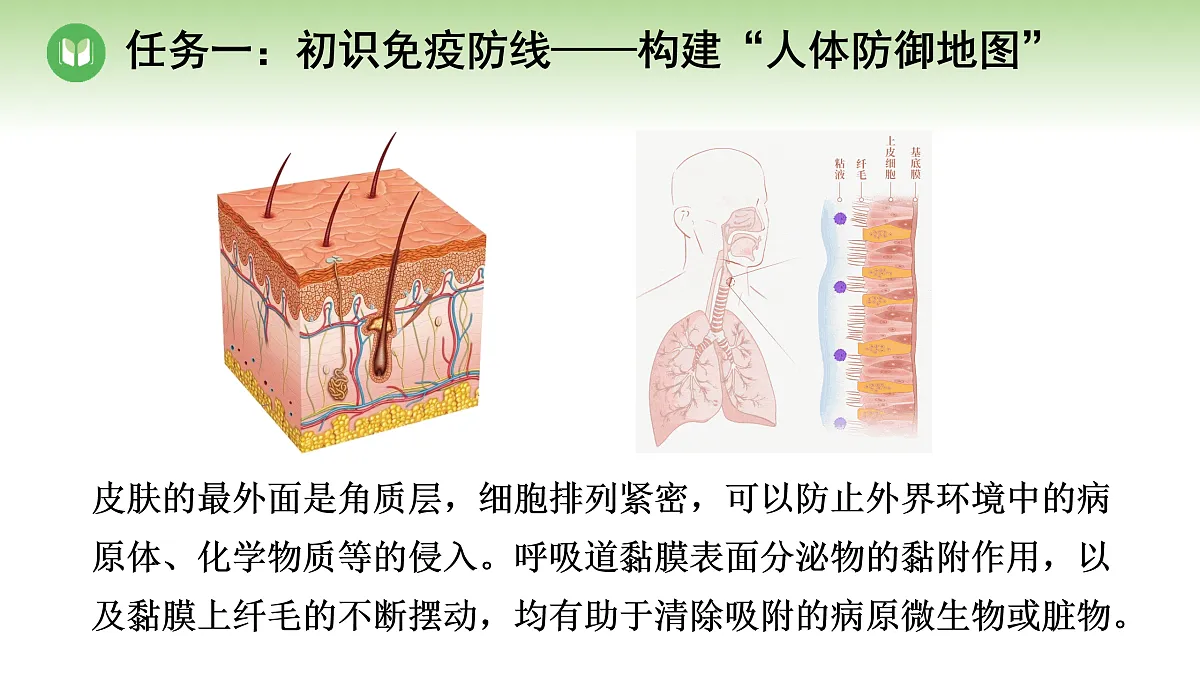 18004282第3页