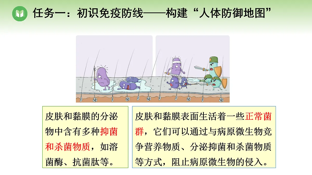 18004282第4页
