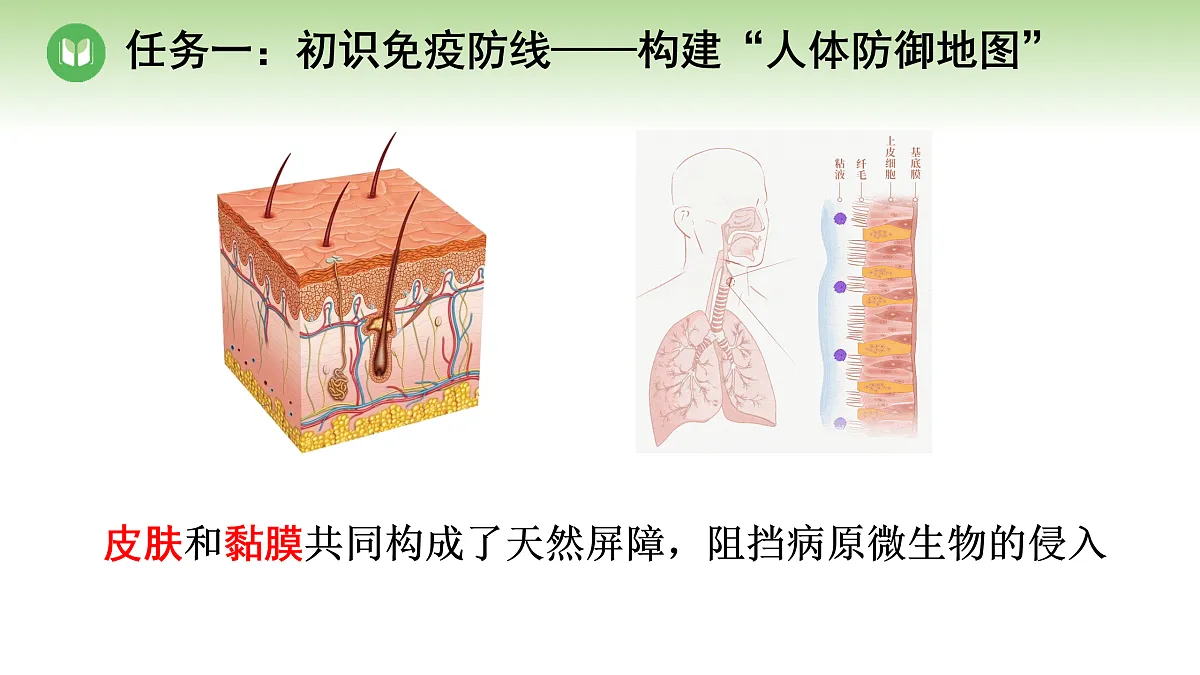 18004282第5页