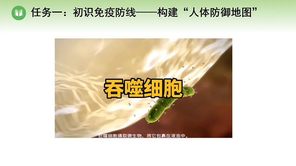 18004282第6页