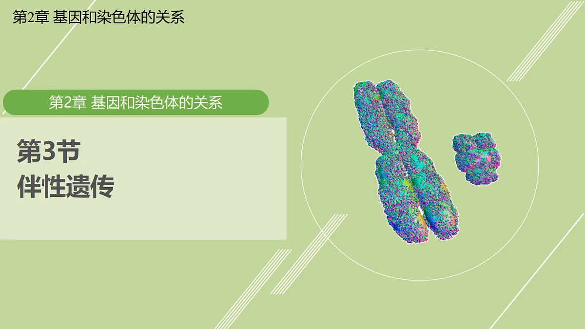 18005042第1页
