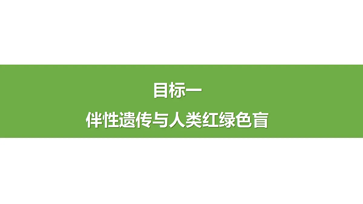 18005042第5页
