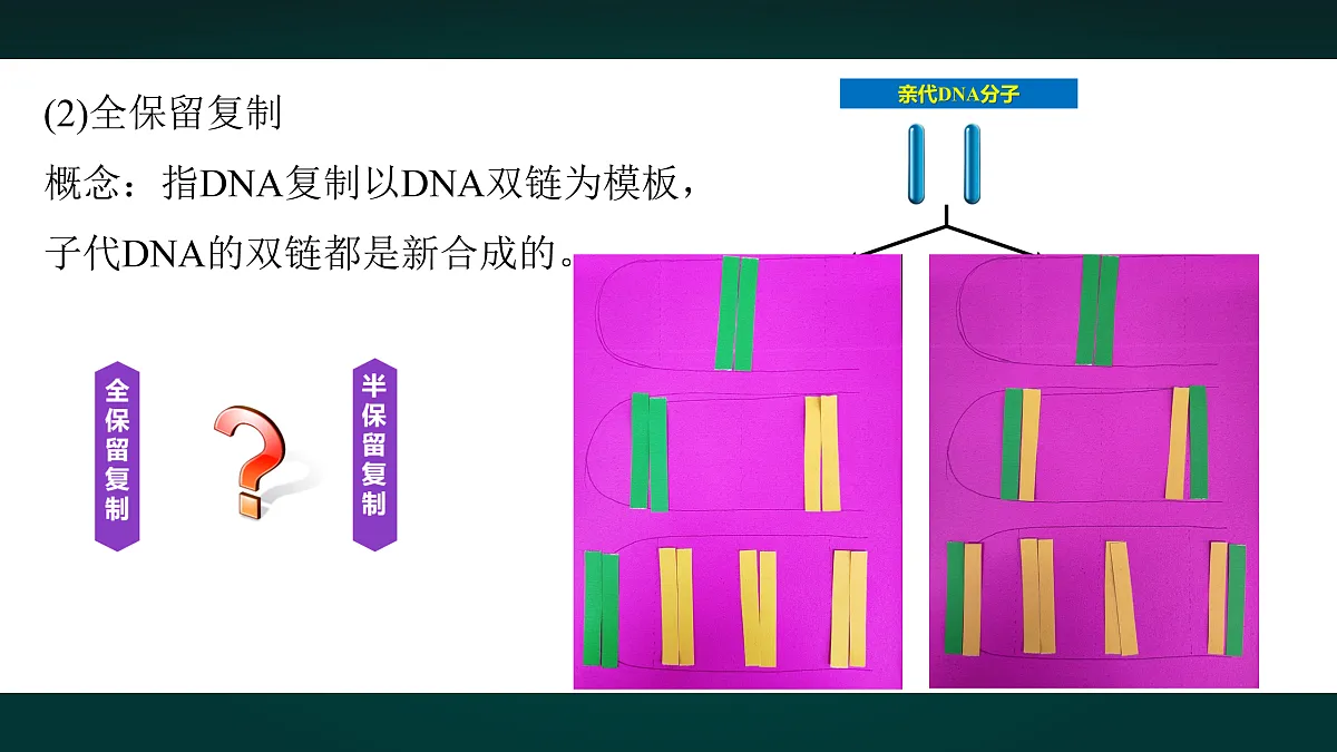 18005342第5页